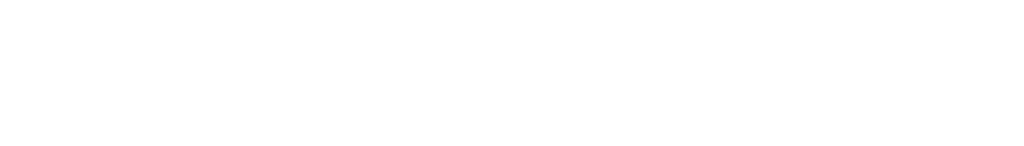 Gnowise logo